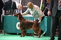 Crufts2011 528